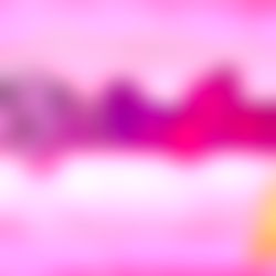 ๐๐๐ฅ๐ฅ๐๐๐๐ซ๐๐ข๐๐(๐
๐๐๐) photo