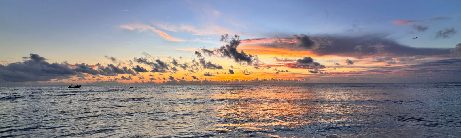 Adventures with Piper 💜 photo