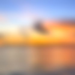 Adventures with Piper ๐ photo