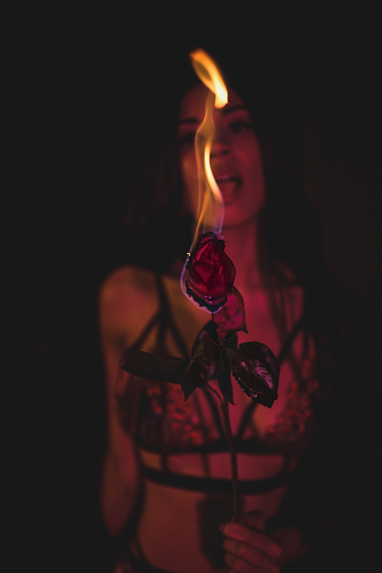 Weeniesmuggler photo