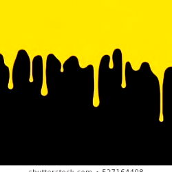 HXNIE SECRET POTT photo