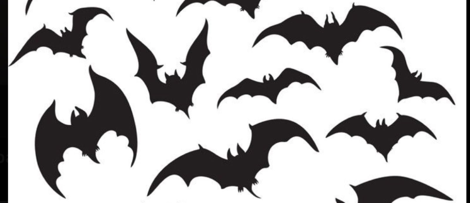 Aria⛓️🦇 photo