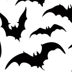 Aria⛓️🦇 photo