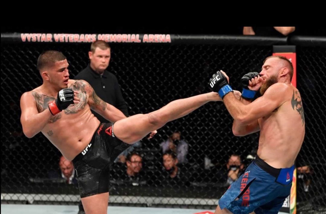 Anthony Pettis photo