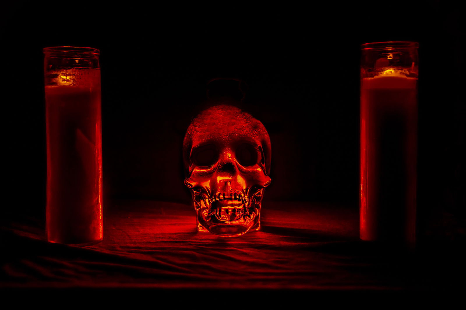 Detroitdogshit photo