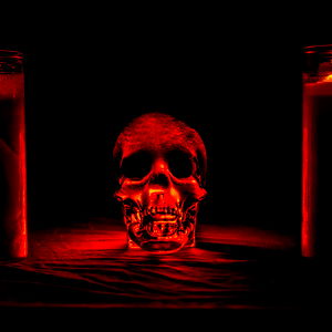 Detroitdogshit photo