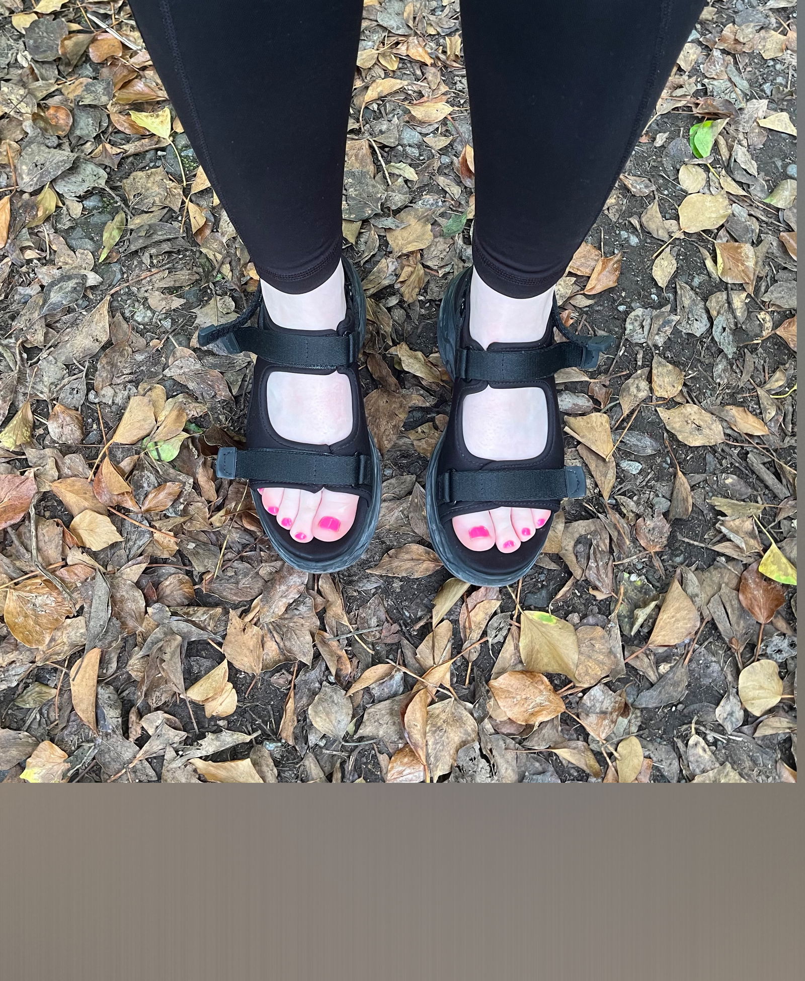 Princess Penelope photo