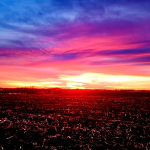 ๐gingerly๐ photo