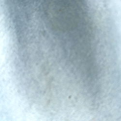 Chicago Model Sherman Son