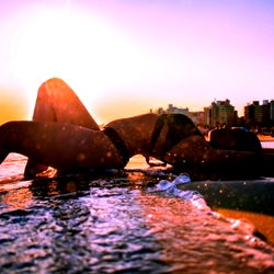 Alejandra García photo