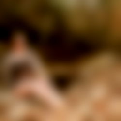 Kendall Read ๐Top 7.4%โค๏ธ photo