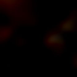 Girlfriend Bimbo photo