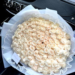 𝒜𝓁ℯ𝓈𝓈𝒾𝒶 🌹 photo