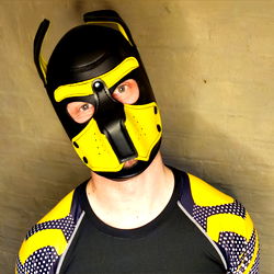 Bold and Intense Dog Mask