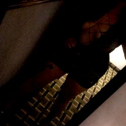 Exploring the Nightlife: A Moment Captured